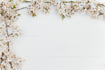First blossom.Spring and summer white flowers on vintage wooden background.Space for your text.