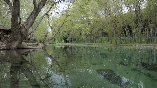 un giro al parco del grassano