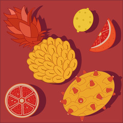 Pineapple, grapefruit, lemon. Fruits illustration.