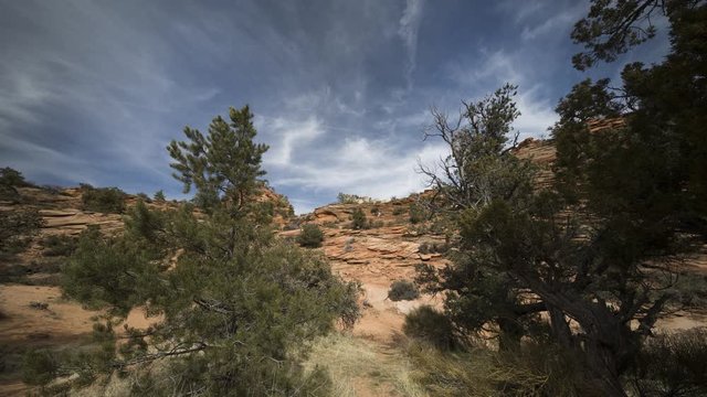 A timelapse looking up past some trees towards a red and white cliff of rock in Zion National Park, located along the East Highway leading out of the park.