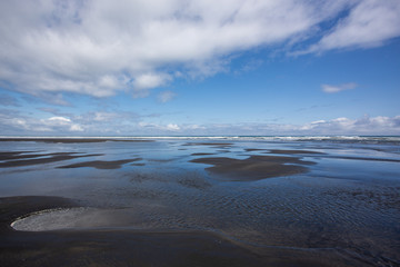 Tree sisters and elephant rock beach, North Island, New Zealand
