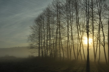 poranek © MARCIN