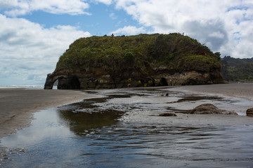 Fototapeta na wymiar Tree sisters and elephant rock beach, North Island, New Zealand