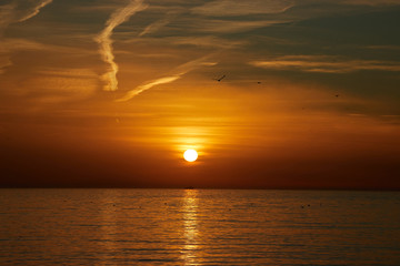 The beach of Barceloneta of Barcelona, Spain