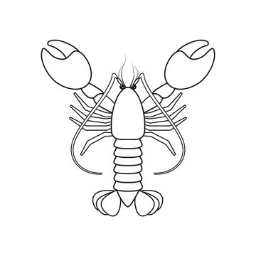 Lobster Outline Drawing. Coloring Page.