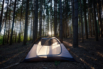 Summer camping in the morning. Tourist white tent at campsite in the beautiful forest at sunrise in the mountains. Tourism adventure active lifestyle concept