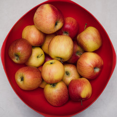 Apples in an Apple basket, apples in a basin