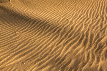 Sand dunes on Piha Beach, New Zealand