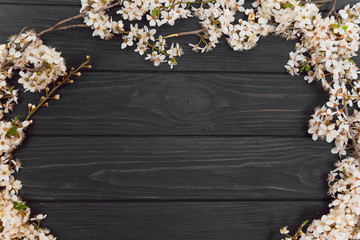 Blossom spring cherry flowers on dark wooden background. Place for text