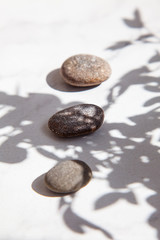 Three sea stones in the shade of leaves and sunlight on a white floor. Summer minimalism.