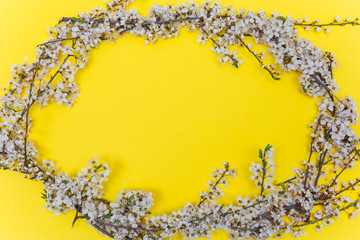 Frame from sprigs of the apricot tree with flowers on yellow background. Place for text. The concept of spring came, mother's day, 8 march. Top view. Flat lay Hello march, april, may