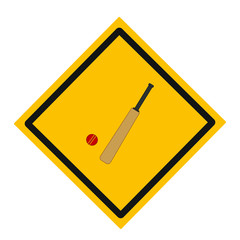 bat to play cricket. illustration for web and mobile design.