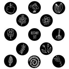 Botanical set of plant elements. White decorative branches, leaves, flowers, roots, apple, berry on black backgrounds. Doodle illustration. Simple vector design for fabric, textile, scrapbook, prints.