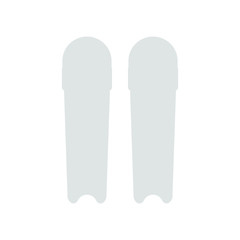 protector to play cricket. illustration for web and mobile design.