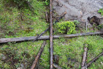 Fototapeta premium the trunks of the fallen trees on the grass form a cross