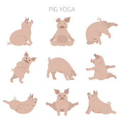 Pig yoga poses and exercises. Cute cartoon clipart set