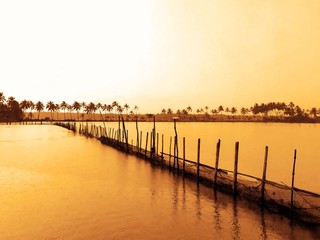 Fototapeta premium sunset on the river