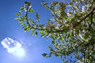 the sun comes out from behind the clouds