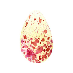 wild bird egg, watercolor illustration, vector