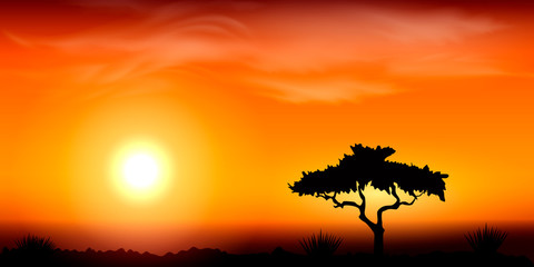 Sunset in Africa, savanna landscape vector illustration.