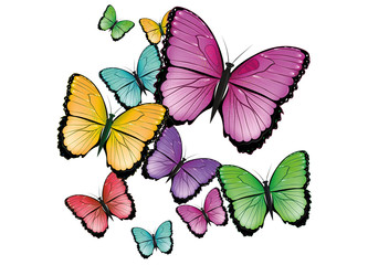 wildes durcheinander kolorierter Schmetterlinge