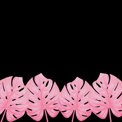 Art collage of pink painted monstera leaves on minimalist black background