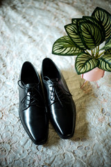 Pair of elegant black shoes, new and shiny.