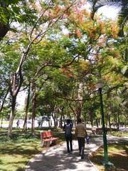 park in the city