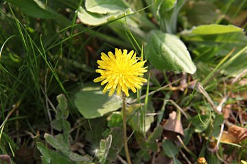 한국 경기도 시흥시 옥구공원 입니다