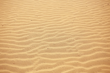 Fototapeta na wymiar background sand desert / abstract empty background, texture desert sand, waves on, sand dunes
