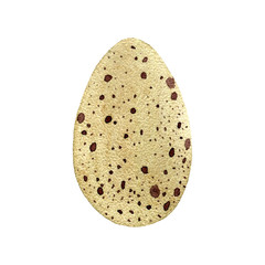 watercolor quail egg, vector illustration