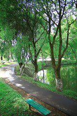 summer park landscape, green trees and walkway in the summer city park