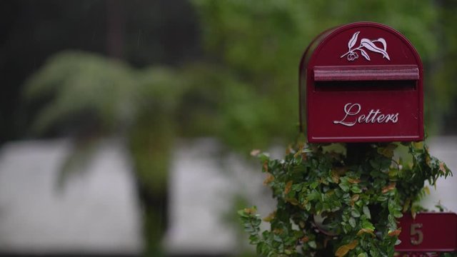 A red mail box with creeping plants and a big palm-like firn tree in the background in the rain. White smoke goes out of a house chimney.