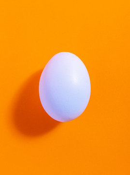 White egg isolated on orange background. Concept photo