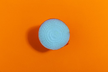 Fresh onion isolated on orange background, top view, concept photo..