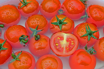 Tomaten