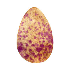 wild bird egg, watercolor illustration, vector