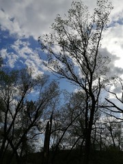 View from  CASTLECOUNTY(Burgenland) upper River LAFNITZ  to other  riverside  STYRIA(Steiermark)