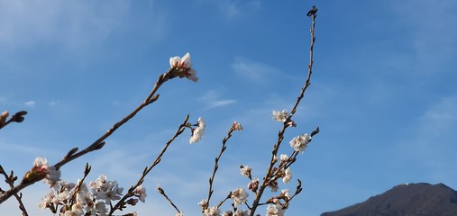풍경