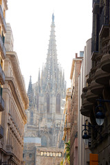 Naklejka premium Barcelona Cathedral in Catalonia, Spain