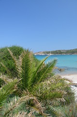 Sardaigne