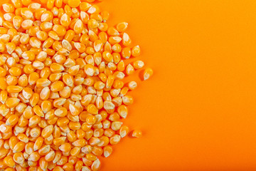 Yellow dried grain corn isolated on orange background, for popcorn, top view, concept photo