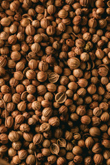 turmeric natural texture or background