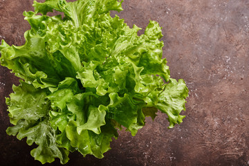 green lettuce on a brown background