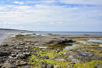 Fototapeta na wymiar Küste mit Raukensteinen bei Langhammars auf der Insel Farö auf Gotland 
