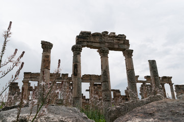 rovine di apamea