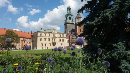 architektura Polska katedra Wawel