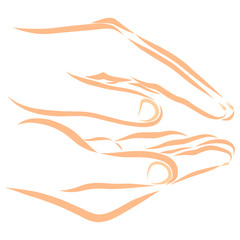 two hands of a person who protect something or applaud