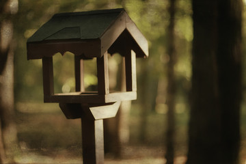 summer park landscape / seasonal view, green trees in summer, concept nature walk, ecology, eco