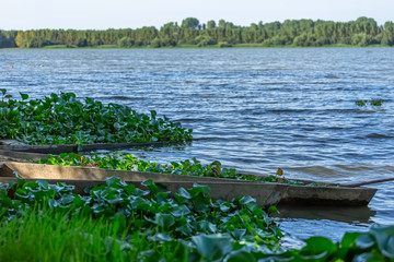 View of lake, aquatic vegetation and old wooden fishing boats on the banks